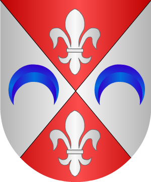 ESCUDO ALEATORIO